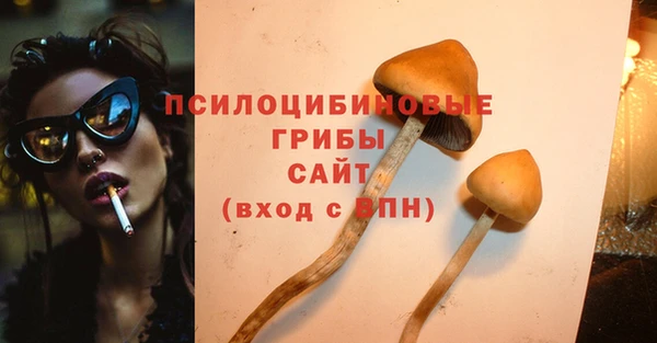 мет Снежинск