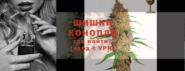 ECSTASY Белокуриха