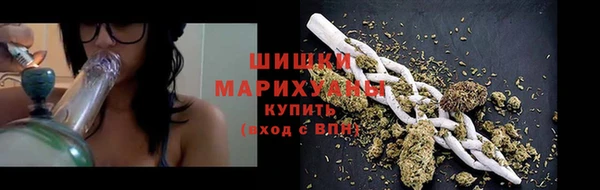 ECSTASY Белокуриха