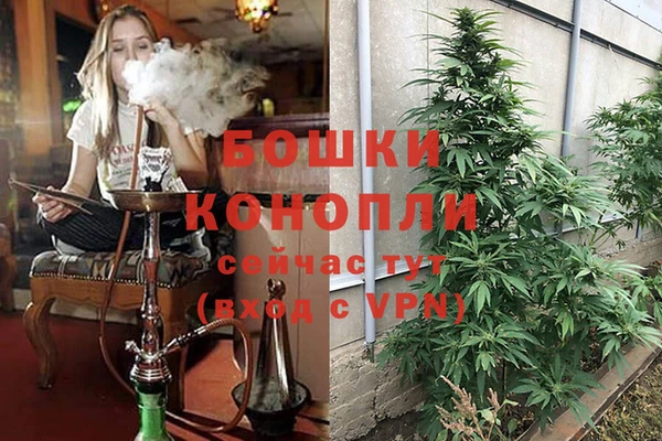 крисы Семилуки