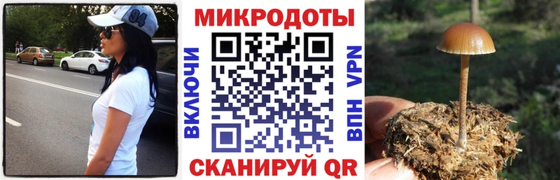 Псилоцибиновые грибы мухоморы  omg зеркало  Ленск 